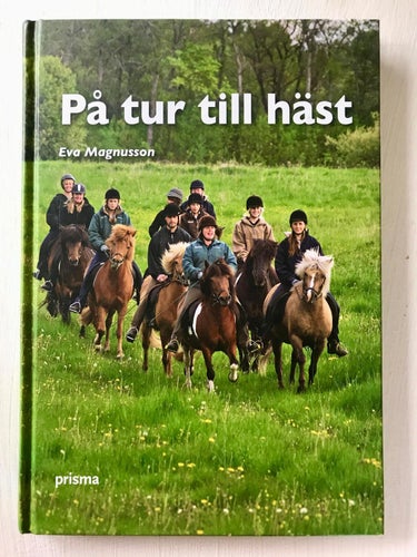 PÅ TUR TILL HÄST Eva Magnusson 2008