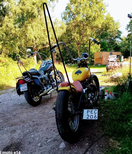 Triumph Trophy TR6R