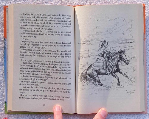 I tornadons spår (ungdomsbok, hästar)