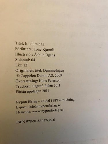 EN DUM DAG Tone Kjærnli 2011
