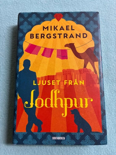 LJUSET FRÅN Jodhpur av Mikael Bergstrand