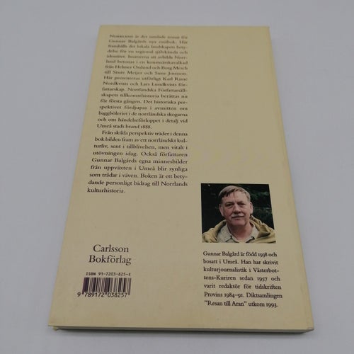 Norrifrån : essäer om norrländsk litteratur, konst och historia