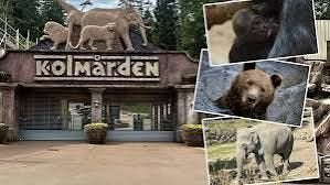 Entrébiljetter för 5 personer Kolmårdens Djurpark