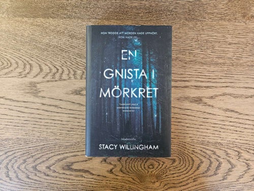 En gnista i mörkret - Stacy Willingham