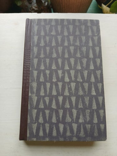 Ung storm - Christian von Snellman