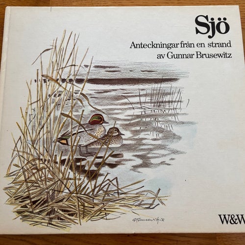 Sjö Anteckningar från en strand av Gunnar Brusewitz 1972