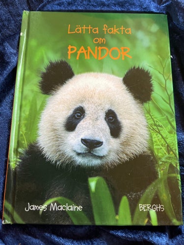 Lätta fakta om PANDOR av James Maclaine