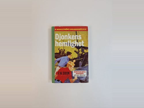 Djonkens hemlighet av F.W. Dixon, 1960