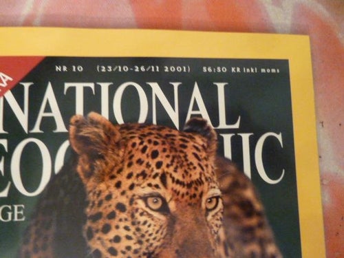 NATIONAL GEOGRAPHIC, NR 10-2001, TIDNING, PÅ SVENSKA, MED SIKTEN PÅ EN LEOPARD