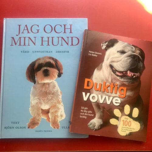 JAG OCH MIN HUND Björn Olson + DUKTIG VOVVE Helen Dennis