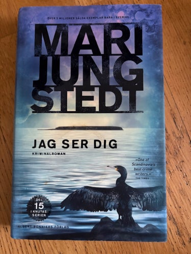 Jag ser dig - Mari Jungstedt