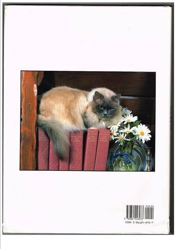 The Pictorial Encyclopedia of CATS - Britt Strader / Robert Pearcy (1991)