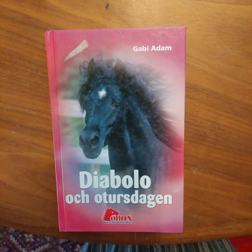 Diabolo och otursdagen av Gabi Adam, 2008