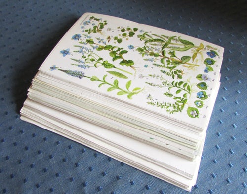 150 BOTANISKA BLAD, FLORA-BILDER FRÅN BÖCKER, UTMÄRKT SKICK!