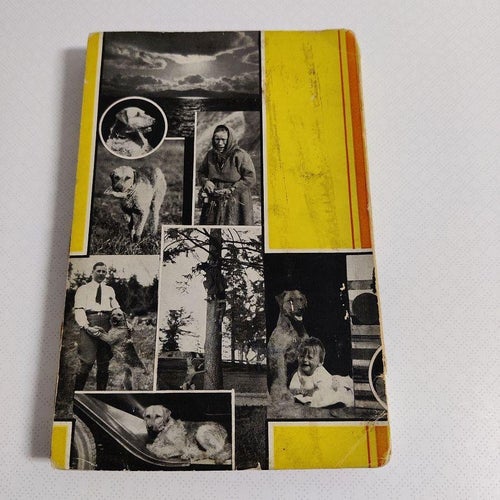 En fyrbent Sherlock Holmes - Airedaleterriern Ragg (hft) 1932