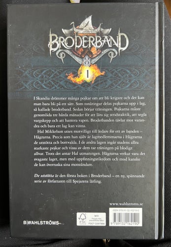 Broderband: De Utsstötta av John Flanagan, 2013