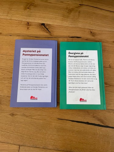 Mysteriet på ponny pensionatet av Christine Pullein-Thompson, Pollux