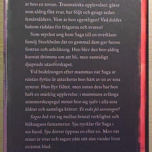 Sagas bok: en trovärdig historia / Elsie Johansson