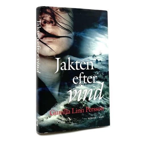 Jakten efter vind av Gunilla Linn Persson (inbunden, 2018)