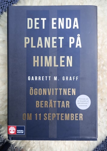 Det enda planet på himlen : Garrett M. Graff