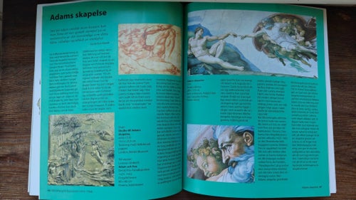 Michelangelo av Alexandra Grönling, 2000