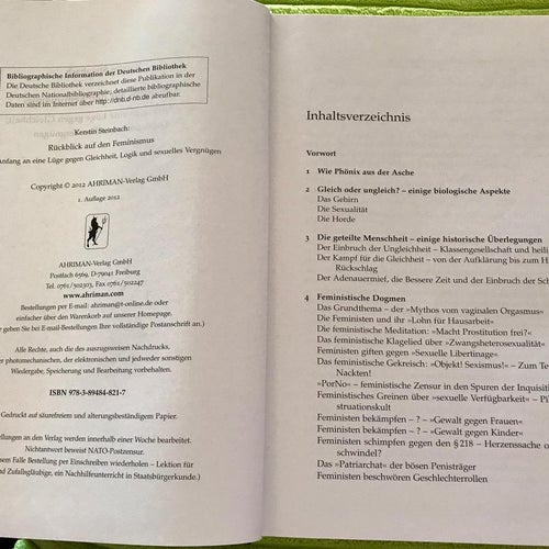 RÜCKBLICK AUF DEN FEMINISMUS Kerstin Steinbach 2012