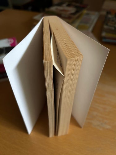 Kärleksflykter av Bernhard Schlink, bok, Very fine plus