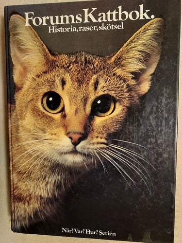 Bok 1981 Forums Kattbok Historia, raser, skötsel Bredd 17,3 cm Höjd 24 cm