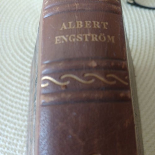 Skrifter av Albert Engström - En Konstig Blandning, 1923