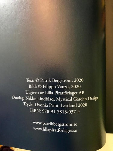 MYSTERIEKLUBBEN OCH BANKRÅNARNA Patrik Bergström Filippo Vanzo 2020