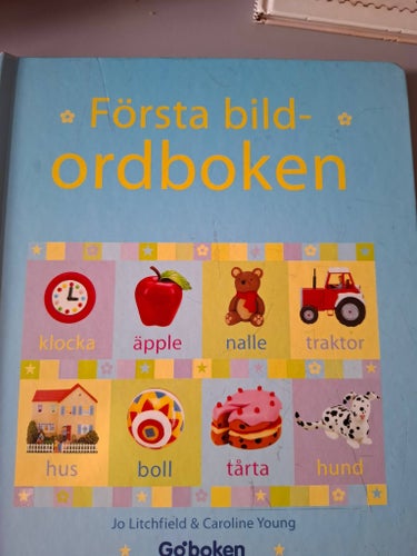 Första bildordboken