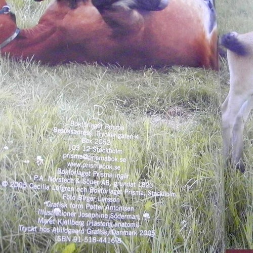 DEN SVENSKA HÄSTHANDBOKEN Cecilia Löfgren 2005