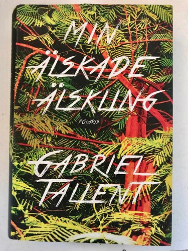 MIN ÄLSKADE ÄLSKLING Gabriel Tallent 2018