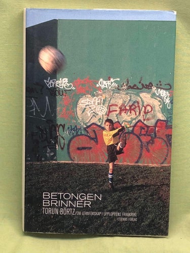Betongen brinner om utanförskap i dagens Frankrike / Börtz, Torun