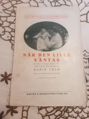 NÄR DEN LILLE VÄNTAS av KARIN THAM