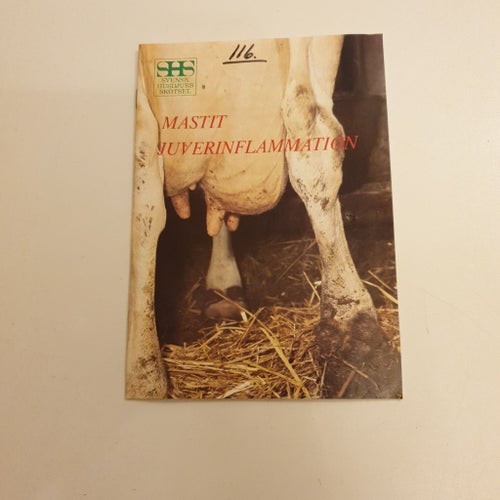 Mastit Juverinflammation - Svensk Husdjursskötsel, 1978