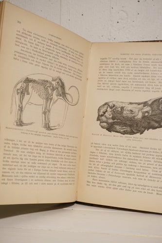 Jordens Historia, 1894