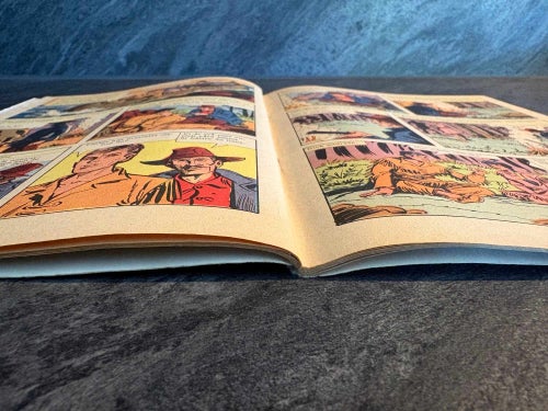 Illustrerade Klassiker Nr 193