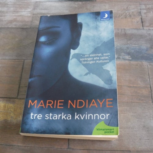 Tre starka kvinnor författare Marie Ndiaye