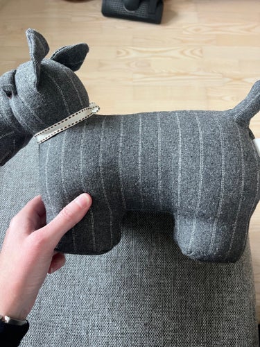 Dora Designs Hund