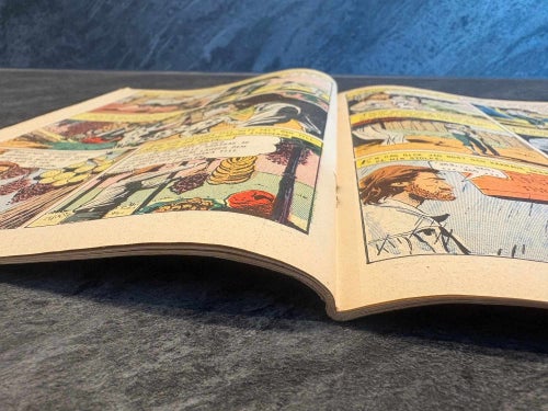 Illustrerade Klassiker Nr 31
