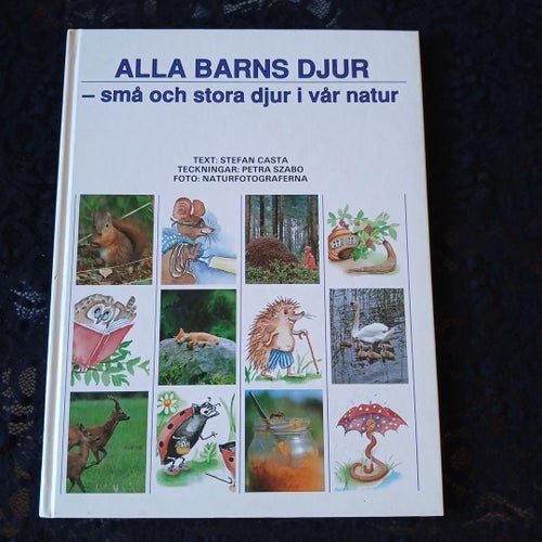 Alla Barns Djur - Stefan Casta