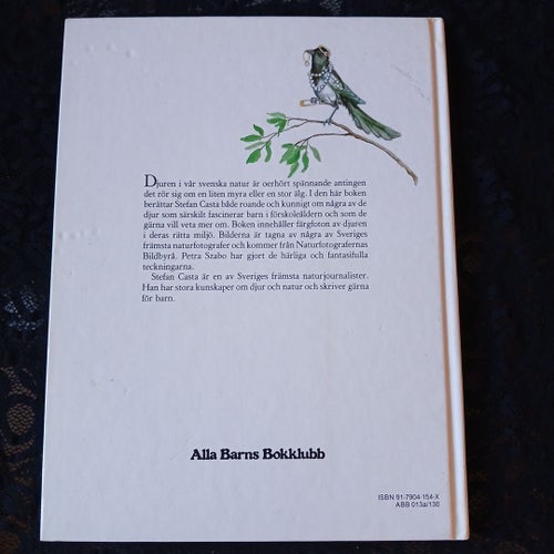 Alla Barns Djur - Stefan Casta