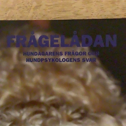 Bok - Hand med Hund: Frågelådan av Yrsa Franzén-Görnerup / Nyskick!