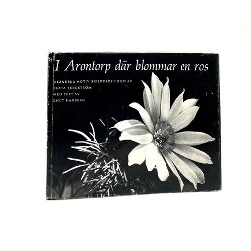 I Arontorp där blommar en ros