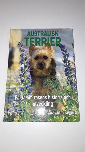 Australisk Terrier - Carin Sandahl och Ulla Britt Norgren