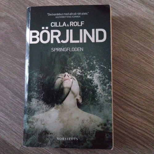 Springfloden av Cilla & Rolf Börjlind, 2012