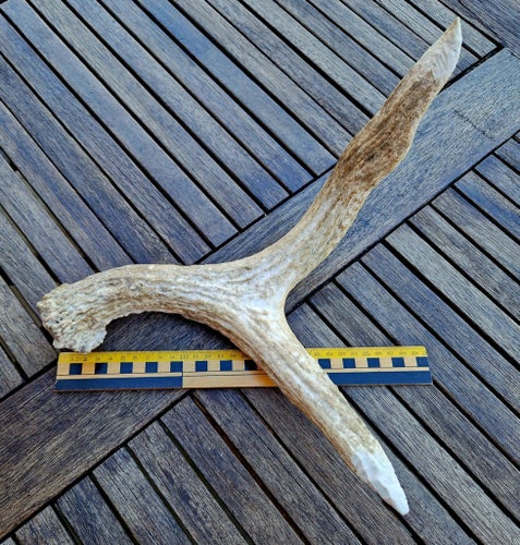 * Större horn (älghorn?) * hundben, hundtugg, tuggben * hantverk * Hor