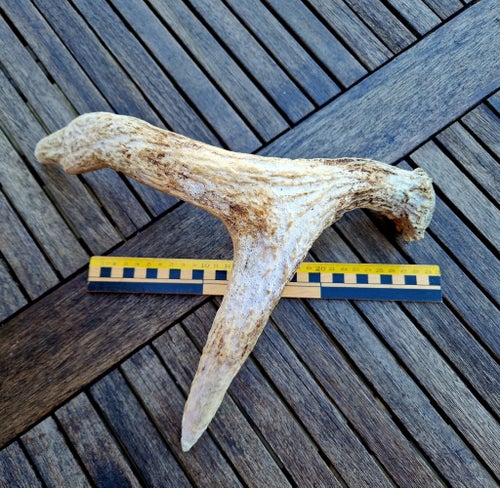 * Större horn (älghorn?) * hundben, hundtugg, tuggben * hantverk * Hor