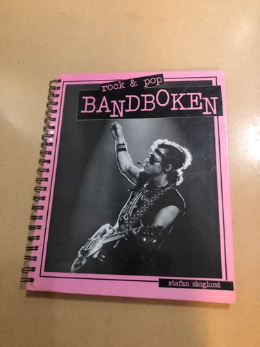 Bandboken rock & pop / Skoglund, Stefan